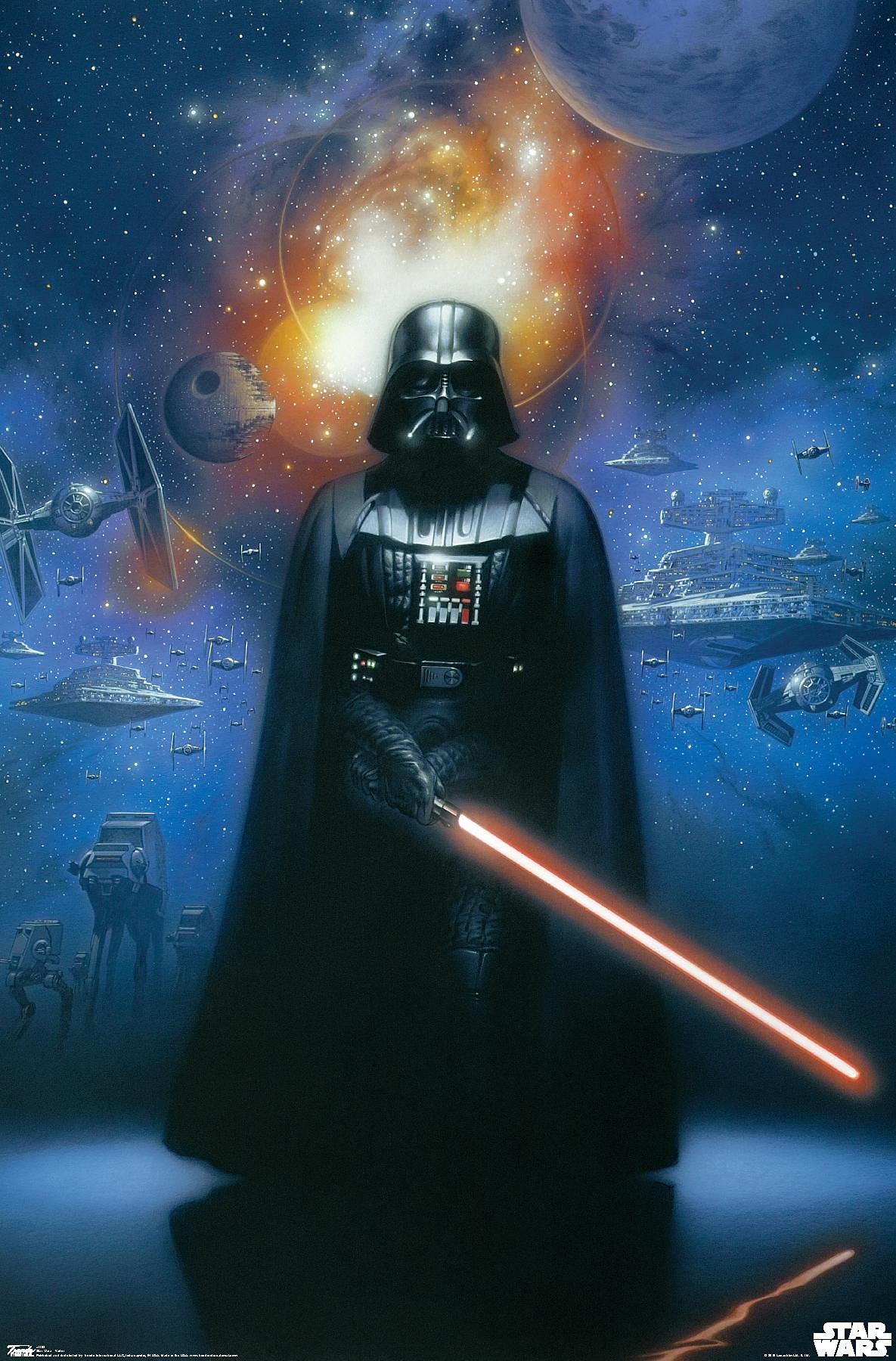 Amazon.com: Trends International Star Wars: Saga - Vader in Space